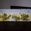 truhlk 50x16 bean